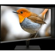 Asus ProArt PA32UCX-PK 32 4K UHD Mini LED LCD Monitor - 16:9 - Black, Black