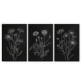 thumbnail image 6 of Drsoum Black White Flower Wall Art 24x36in3pcs Black Framed Vintage Minimalist Floral Wall Hanging Decor Bohemain Botanical Prints Artwork for Bedroom Living Room Hallway, 6 of 8