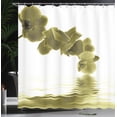 thumbnail image 3 of Ambesonne Floral Shower Curtain, Orchid Composition Garden, 69"Wx75"L, Khaki White, 3 of 4