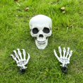 thumbnail image 3 of Halloween Skeleton Head Lifelike Human Head Model Party Prop with Skeleton Hands, 3 of 8