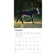 thumbnail image 3 of Donkeys | 2024 12x24" (Hanging) Monthly Square Wall Calendar | BrownTrout, 3 of 8