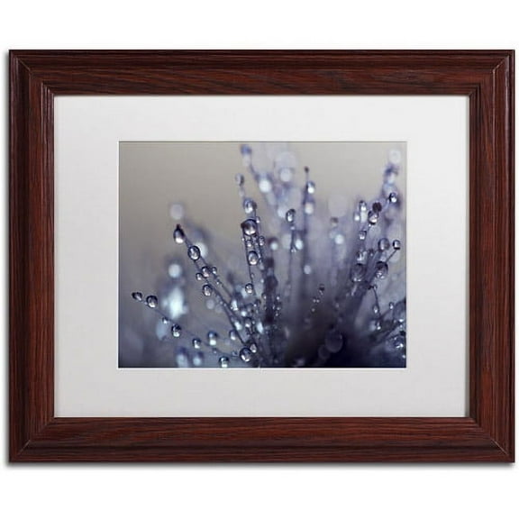 Trademark Fine Art "Evening Jewels" Canvas Art by Beata Czyzowska Young, White Matte, Wood Frame