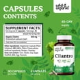 thumbnail image 3 of Suplemento de cilantro silvestre y orgánico en cápsulas de 800 mg, 90 unidades, 3 of 7