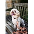 thumbnail image 2 of Country Brook Petz® Premium Nature Walk Dog Collar and Leash Limited Edition, XL, 2 of 7