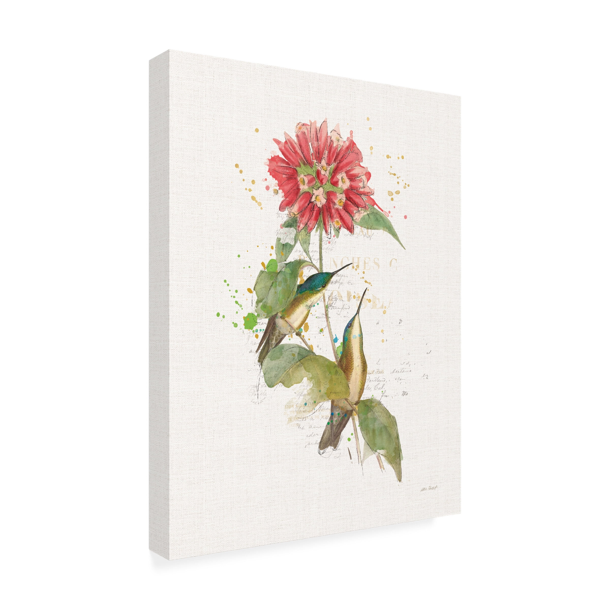 Katie Pertiet 'Colorful Hummingbirds I' Canvas Art