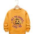 thumbnail image 4 of SJLDQY Halloween Sweatshirts for Boys Fall Winter Lined Long Sleeve Crew Neck Sweatshirt Hallowmas Pumpkin Graphic Pullover Tops for Boys, 4 of 4