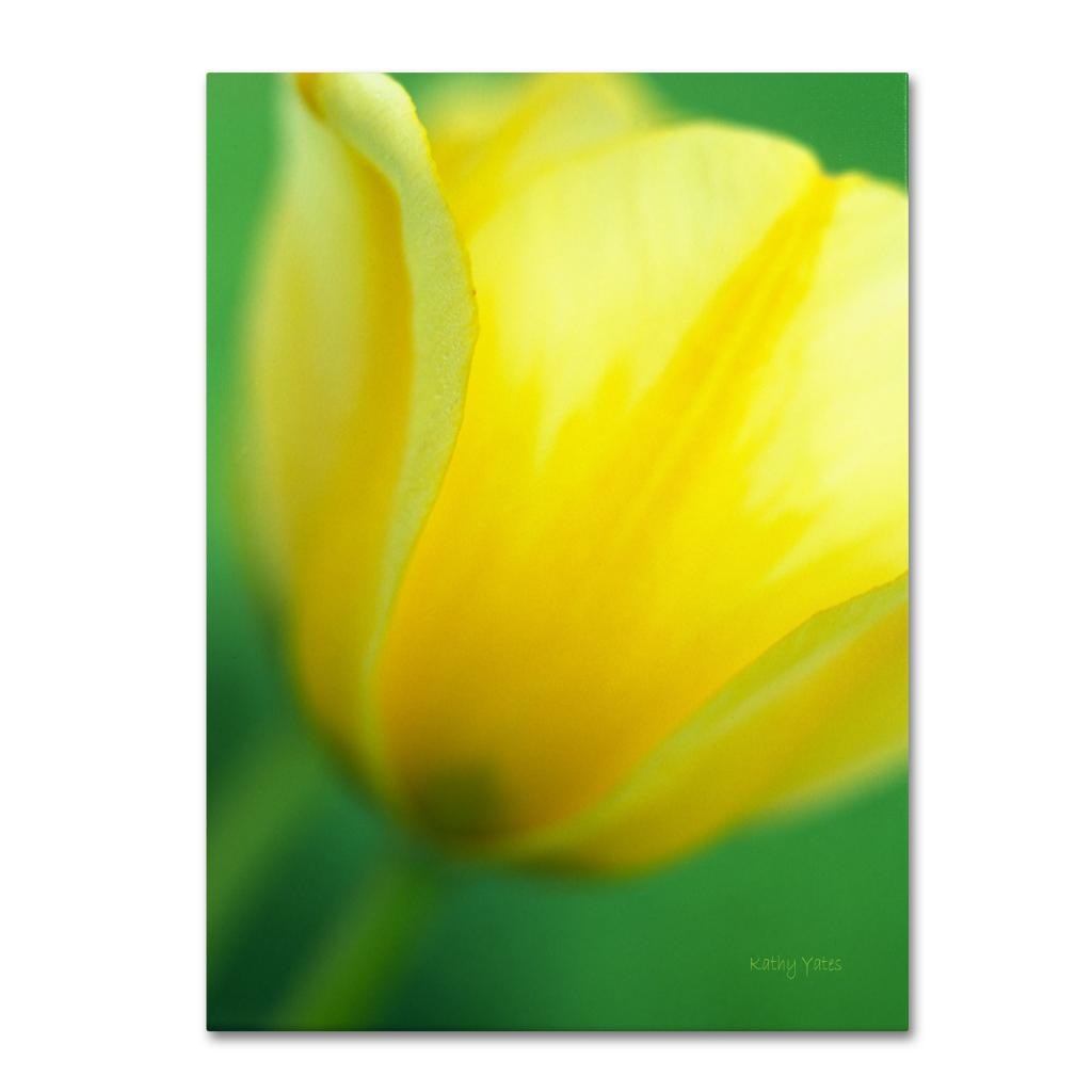 Trademark Fine Art "Hint of a Tulip" Canvas Art by Kathy Yates