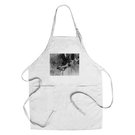 Southern Miwok Indian Spear Fishing Curtis Photograph (Cotton/Polyester Chef's Apron)