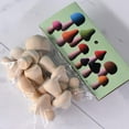thumbnail image 5 of Unfinished Wooden Mushroom DIY Paint Color (10) for Children's Art Jewelry Makin, 5 of 8