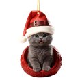 thumbnail image 2 of Personalized Christmas Cat Ornaments, 2D Flat Shatterproof Cat Christmas Hangings Decoration, Cute Christmas Tree Cats Hanging Decorations for Indoor Home/Party/Mantel/Car (E), 2 of 7