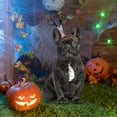 thumbnail image 2 of Amazon dog cat head suit Pet Cats Dogs Animals Funny, 2 of 8