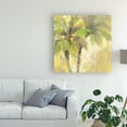 thumbnail image 3 of Trademark Fine Art 'Breezy Palm I' Canvas Art by Albena Hristova, 3 of 3