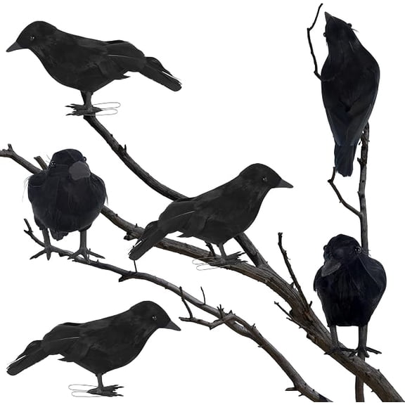 6Pack Halloween Black Feathered Crows Decor, Holiday Decoration for Indoor Outdoor Home Yard Garden Party Carnival Supplies