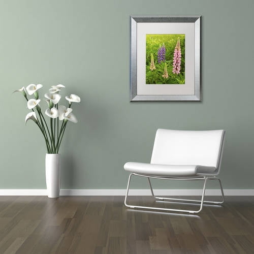 Trademark Fine Art "Lupine Family" Canvas Art by Michael Blanchette Photography White Matte, Silver Frame