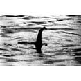 thumbnail image 2 of Loch Ness Monster History (36 x 24), 2 of 2
