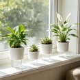 thumbnail image 4 of Self Watering Pots for Indoor Plants, 6 Inch Self Watering Planter for Orchid African Violet, Small Clear Flower Pots with Drainage Holes for Home Office, 4 of 7