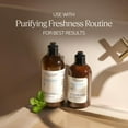 thumbnail image 2 of L'Occitane Shampoo Frescura y Aromacolog&iacute;a 500ml, 2 of 5