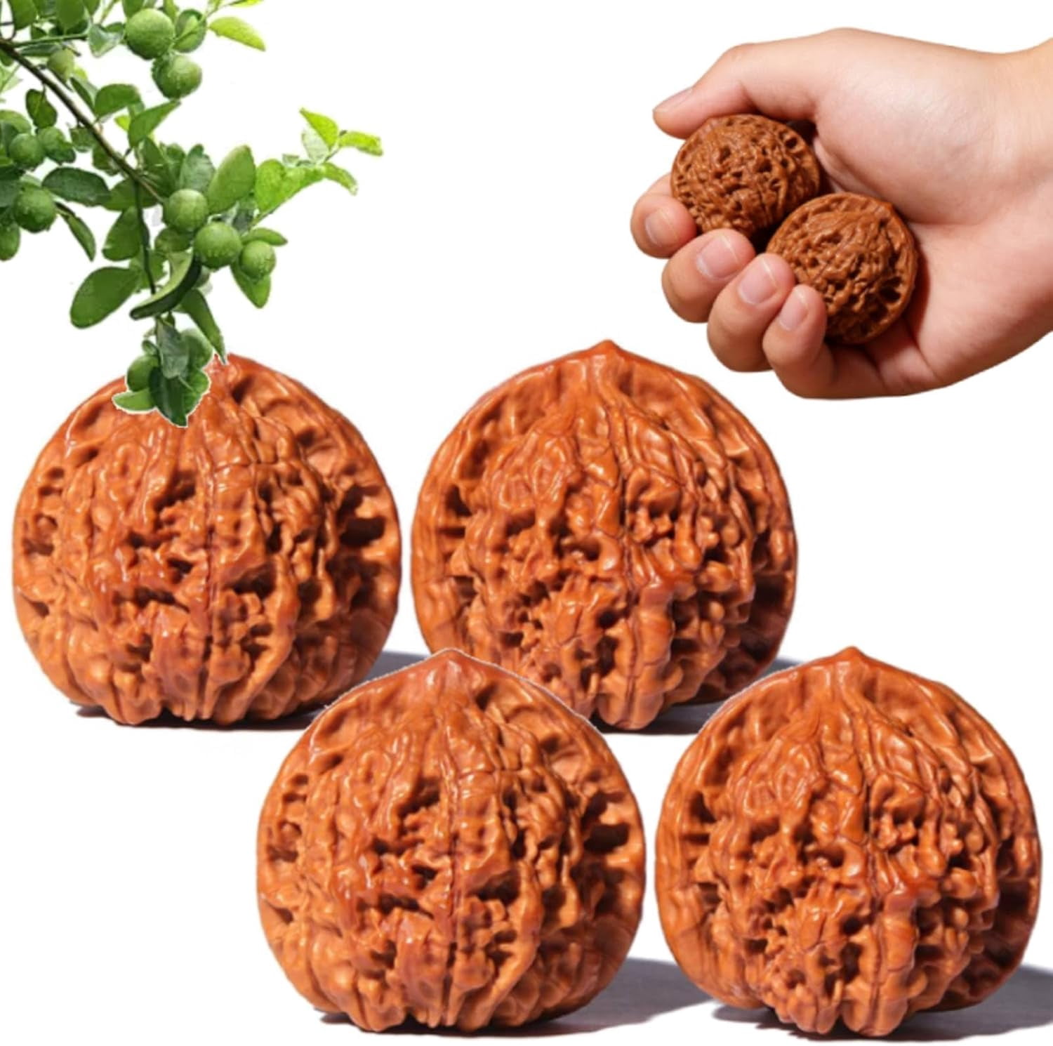 Chinese Walnuts Fidget, Wenwan Walnuts, Hand Training Massage Stress Relief, Walnut and Massage Stress Relief Health Care Ball Toys