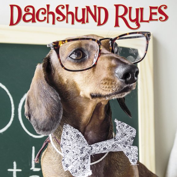 Pre-Owned Dachshund Rules - book (hardback)