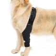 thumbnail image 3 of Dog Recovery Sleeve Front Rear Leg Support Brace For Injury Sprain Relieve Pain, 3 of 4