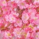 thumbnail image 3 of Guirnalda de enredaderas de Sakura NikouMX 1,8 m 256 Guirnalda de Sakura artificial, 3 of 8