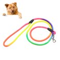 thumbnail image 4 of Flmtop Colorful Traction Rope Nylon Walking Leash Training Lead Strap for Pet Dog Puppy Multicolor, 4 of 6