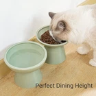 2 Extra Wide Elevated Ceramic Cat Food Bowls for Food Water 5 Inch Height 6.2 Inch Wide Shallow Whisker Fatigue Free Sage Green