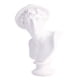 thumbnail image 2 of de escultura de resina de busto de celebridad clásica de 5,9 pulgadas para de práctica de bocetos, decoración para hogar y Soledad Figura gente famosa, 2 of 9