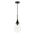 thumbnail image 2 of Evelyn&Zoe Ambrose 7.63" Wide Pendant with Glass Shade in Blackened Steel/Clear, 2 of 10