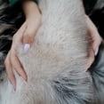 thumbnail image 6 of Luxury Beige Faux Fur Throw Blanket Long Pile 50"x60" Super Warm Thick Faux Fur Blanket for Couch Bed Fuzzy Fluffy Elegant Cozy Blanket, 6 of 6