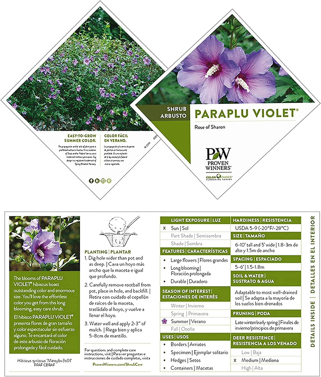 Proven Winners ColorChoice Paraplu Violet Hibiscus Live Shrub (2 Gallon)