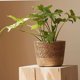 thumbnail image 5 of Typpkmm Straw Weaving Flower Plant Pot with Wicker Basket Rattan Flowerpot, 5 of 7