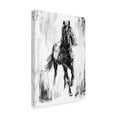 thumbnail image 2 of Trademark Fine Art 'Rustic Stallion I' Canvas Art by Ethan Harper, 2 of 4