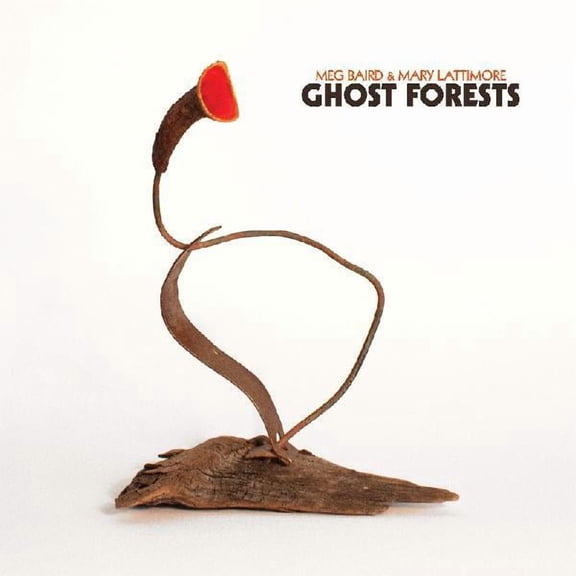 Baird,Meg / Lattimore,Mary - Ghost Forests - Music & Performance - Vinyl