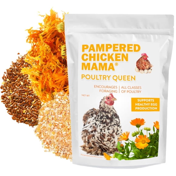 Premio Pampered Chicken Mama con gusanos de harina, maíz, linaza y hierbas para gallinas de patio, alimento saludable para ponedoras y suministros para gallinas de compañía – Reina de Aves (1,35 kg)