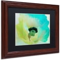 thumbnail image 2 of Trademark Fine Art "Poppy Gradient I" Canvas Art by Color Bakery Black Matte, Wood Frame, 2 of 4