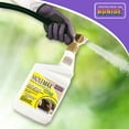 thumbnail image 3 of Bonide MoleMax Ready to Spray Outdoor Mole and Vole Repelling Spray, 32 Oz, 3 of 5