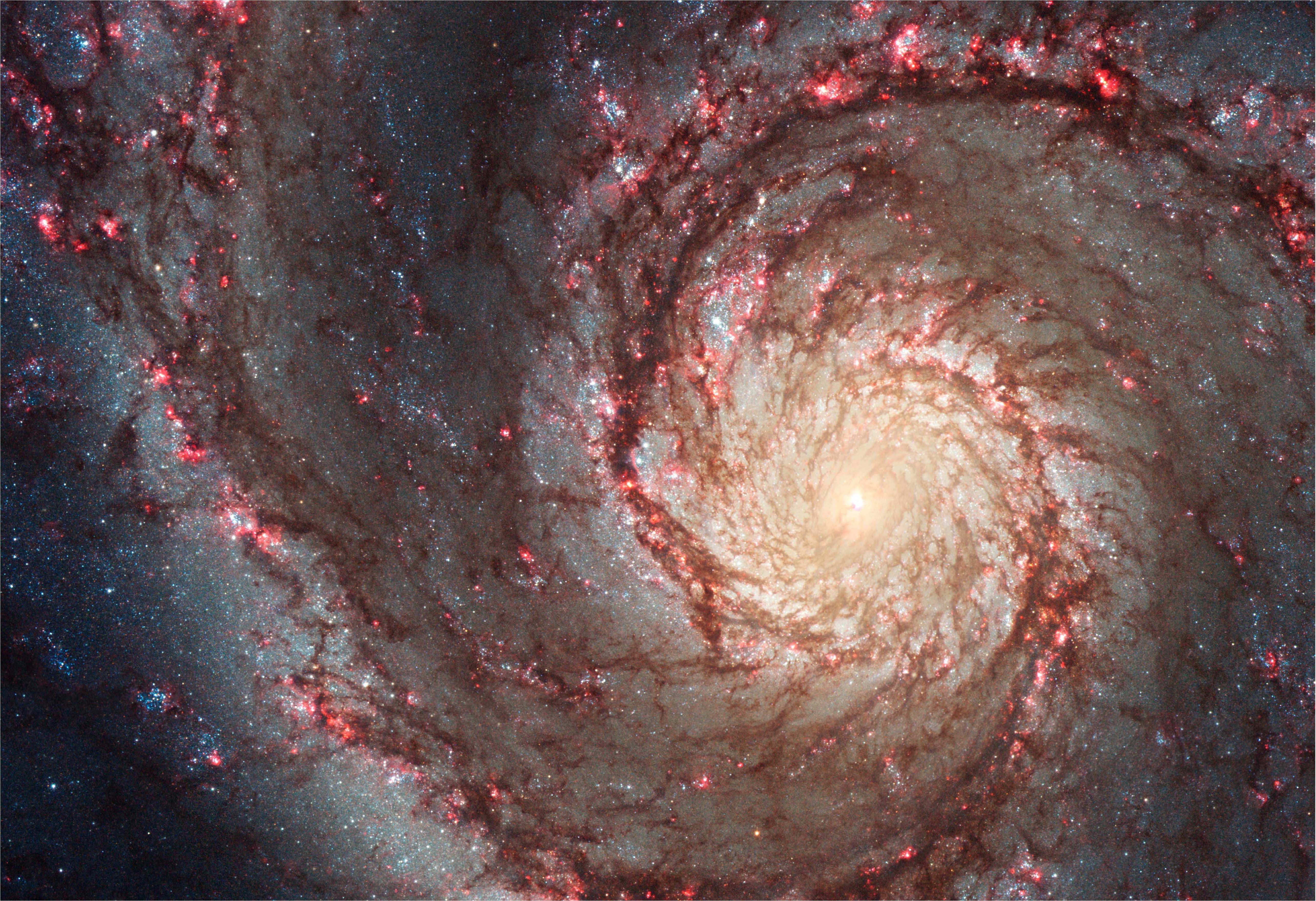 M51 Galaxy Fine Art Print - Walmart.com