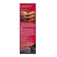 thumbnail image 5 of 2X - Revlon ColorSilk Hair Color - 57 Lightest Gold Brown - Each, 5 of 5