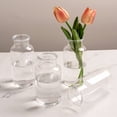 thumbnail image 2 of Small Vases for Flowers,Mini Clear Glass Bud Vases,Mini Flower Vase for Wedding Table Centerpiece Home Decor,Housewarming Gift, 2 of 8