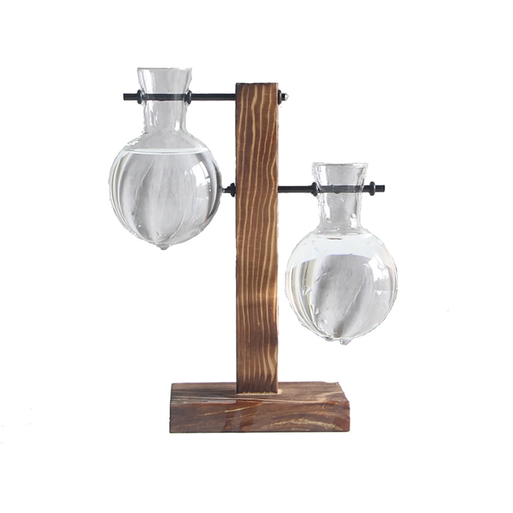 Buy Plant Glass Container,Plant Terrarium Planter Bulb Glass Vase Water Planting Propagation