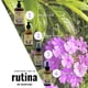 thumbnail image 5 of Aceite Para Cabello y Cuerpo Con Aceite Esencial De Té Verde Verbena 60ml, 5 of 5