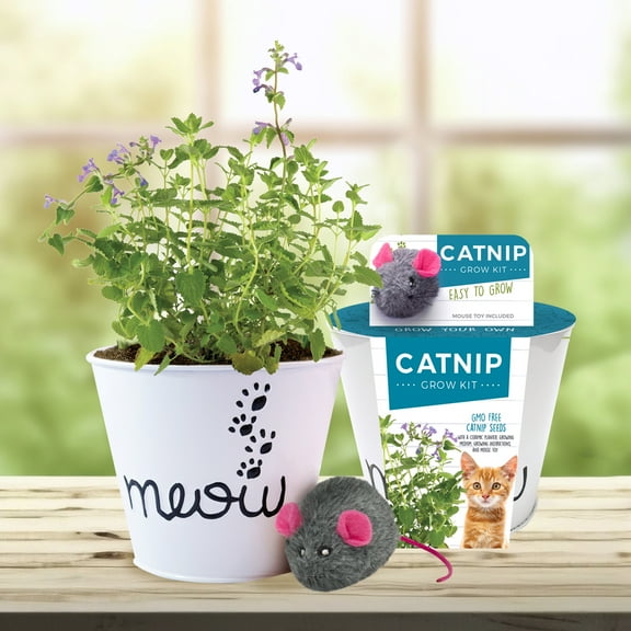 Garden State Bulb Catnip Herb Grow Kit with Mouse Toy (2 Pack)