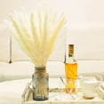 thumbnail image 3 of 30PCS Pampas Grass Plumes Decoration, 17 Inch Tall Natural Dried Flowers,Faux Reed Flower Stems Bunch for Flower Arrangements Wedding Home Decor, 3 of 6