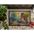 thumbnail image 3 of Carolines Treasures DAC3195JMAT 24 x 36 in. Unisex Burrowing Owl Doormat, 3 of 5