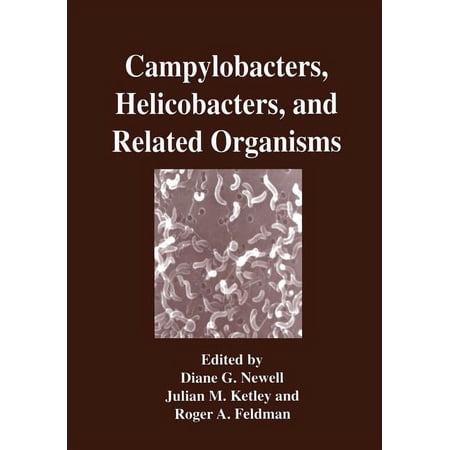 Campylobacters Helicobacters and Related Organisms (Paperback)