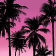 thumbnail image 2 of Jensen, Mia 20x20 White Modern Wood Framed Museum Art Print Titled - Palms Black on Pink II, 2 of 4
