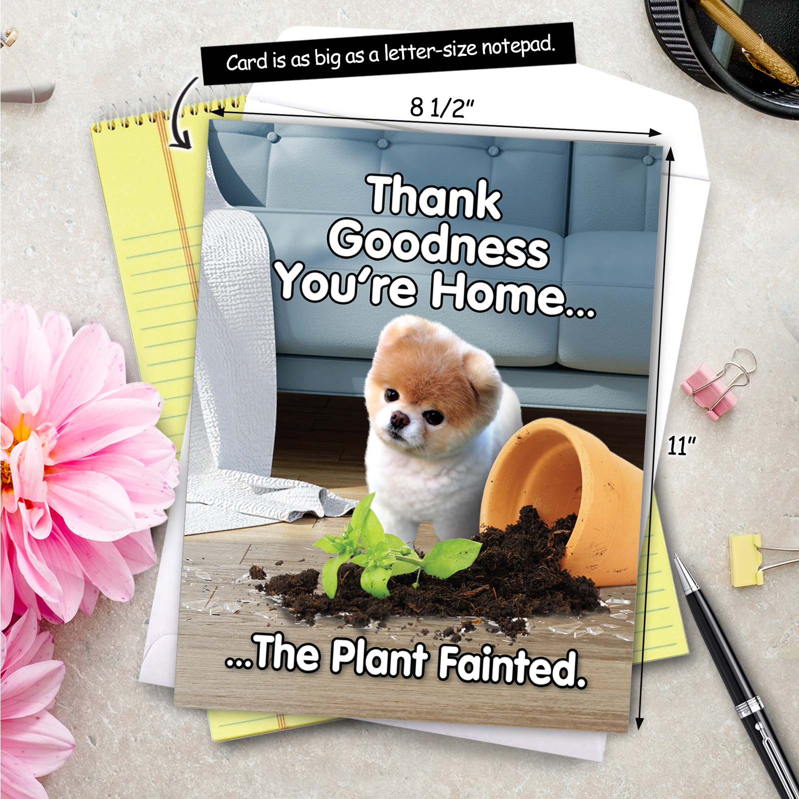 The Best Card Company Geburtstagskarte „Boo’s Plant Fainted“ – Witzig Und Ungewöhnlich