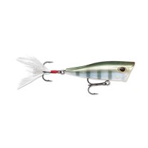 Arashi Cover Pop Hard Bait Lure