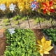 thumbnail image 4 of Bearachild Spinner de viento para espantar pájaros, 2 uds., exclusivo, repele pájaros y mejora el efecto de decoración del jardín, es obvio Jardín y Patio Degradado de color, 4 of 6